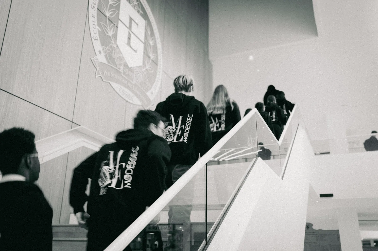 Modessec hoodie 29