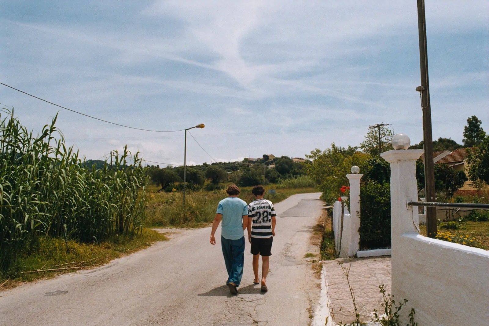Kodak Gold, 35mm film 3