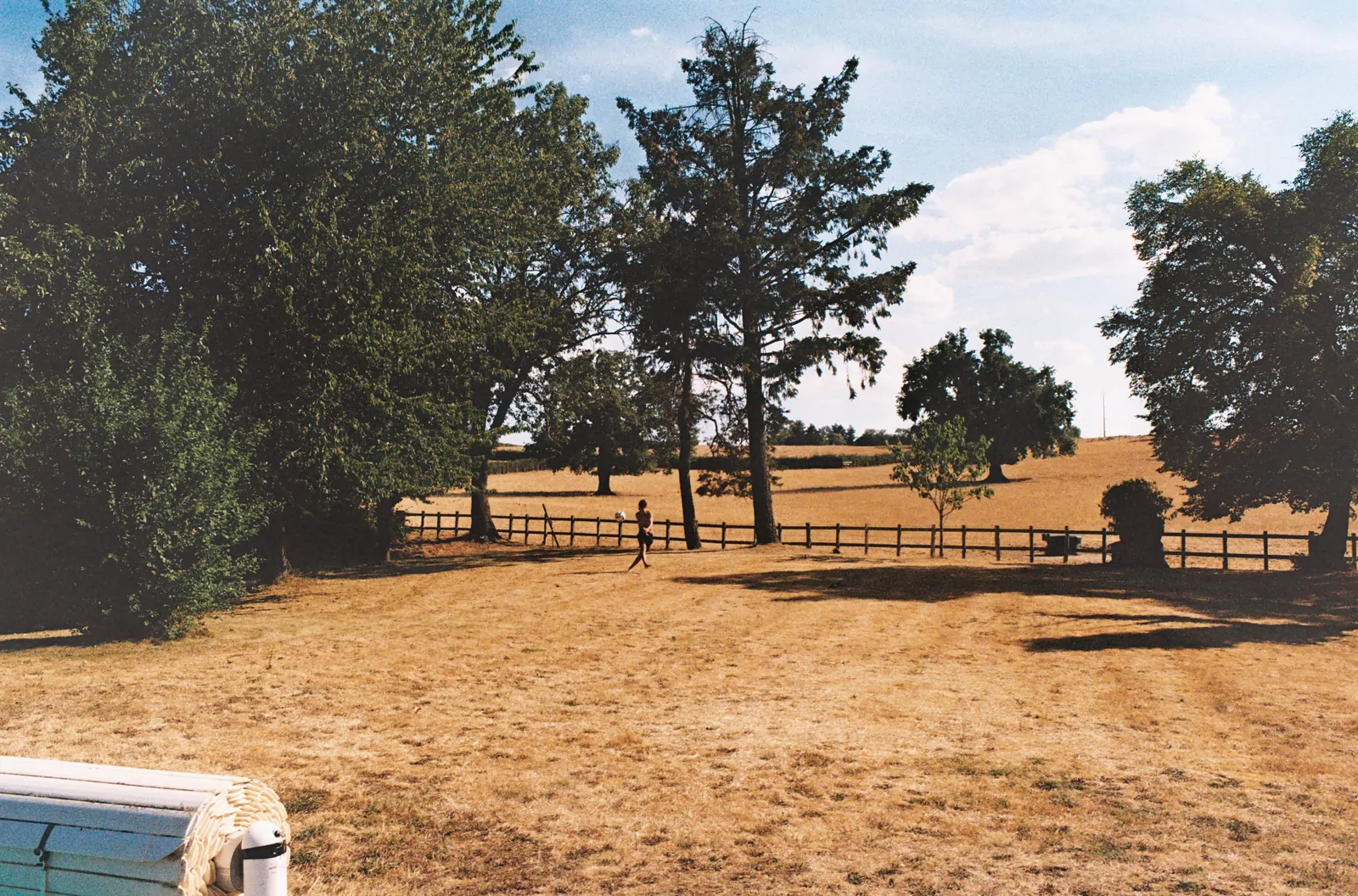 Kodak Gold, 35mm film 4